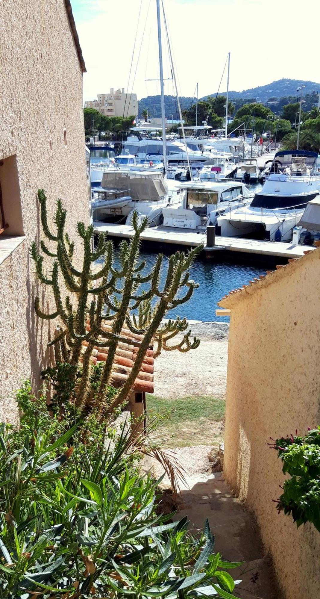 T2 Terrasse, Bormes Les Mimosas La Faviere, 5 Pers, 5 Mn A Pieds Des Plages Et Commerces Экстерьер фото