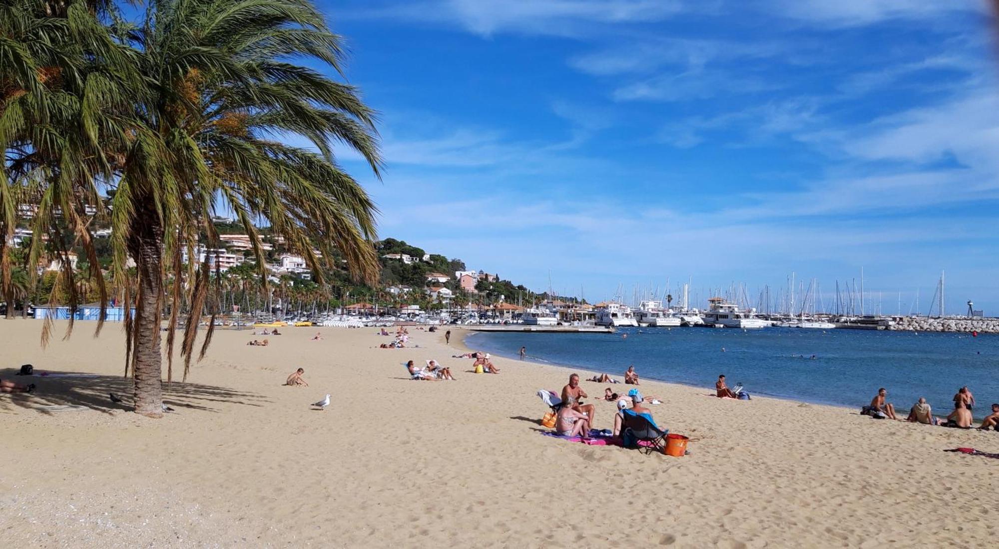 T2 Terrasse, Bormes Les Mimosas La Faviere, 5 Pers, 5 Mn A Pieds Des Plages Et Commerces Экстерьер фото